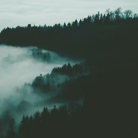 the nights on the backroad