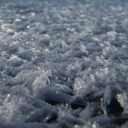 In Droplets Of Ice