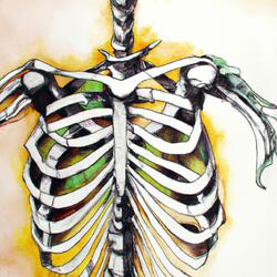 RIBCAGE