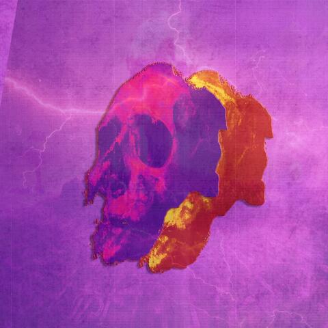 PHONK X PETRUNKO
