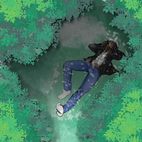 TRAP TREES