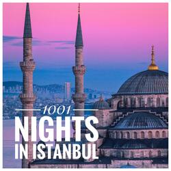 1001 Nights in Istanbul