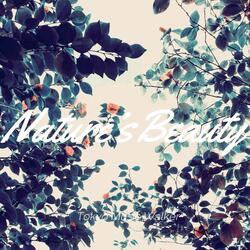 Nature's Beauty