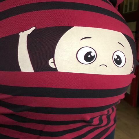 Herr Fant, der etwas nicht herausfand