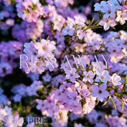 Run Away