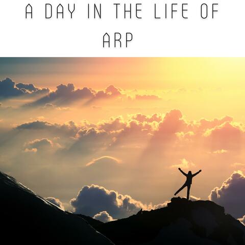 A day in the life of Arp - Volume 1