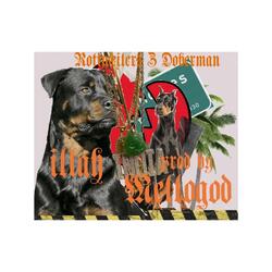 Rottweilers and Doberman