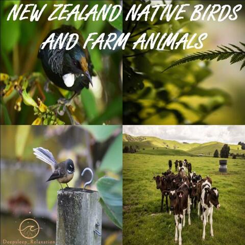 NEW ZEALAND NATIVE BIRDS WITH FARM ANIMALS
