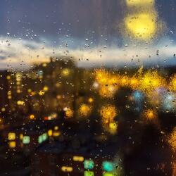 Rainy Exploration 35