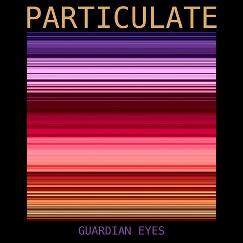 Particulate