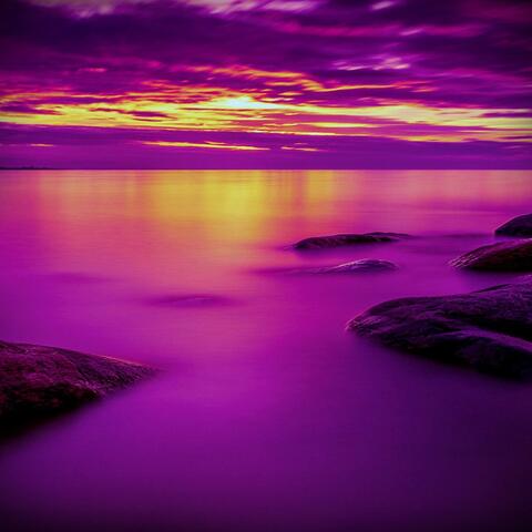 ~Dreamz‘&’Visionz~