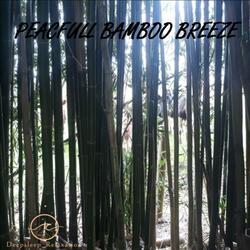 CRACKLING BAMBOO FOREST 4