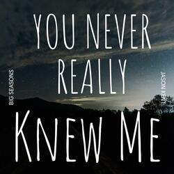 You Never Really Knew Me