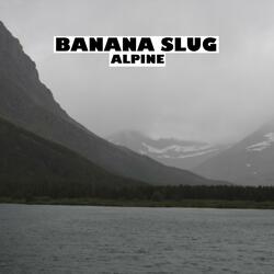 Alpine