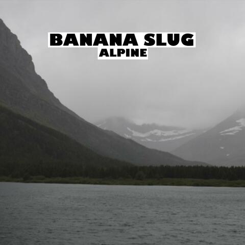 Alpine