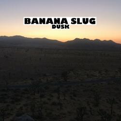 Dusk