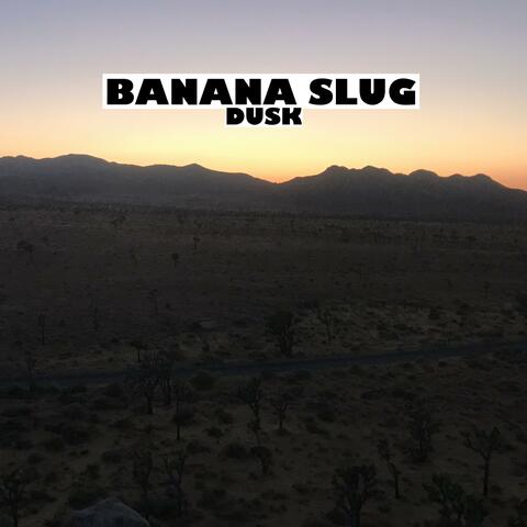 Dusk