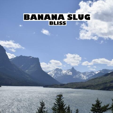 Bliss