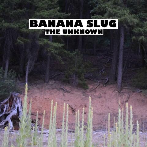 The Unknown
