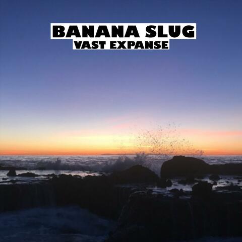 Vast Expanse