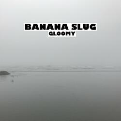 Gloomy