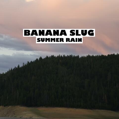 Summer Rain