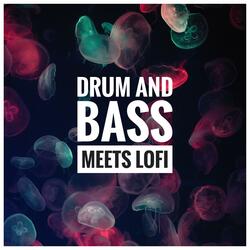 Drum and Bass Meets Lofi