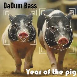 Year of the Pig