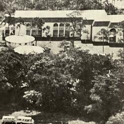 Saga Of A Palmer Pirate