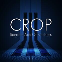 Random Acts Of Kindness