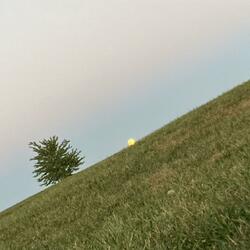 these days are so long