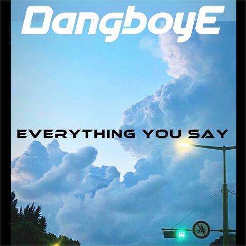 Everything You Say