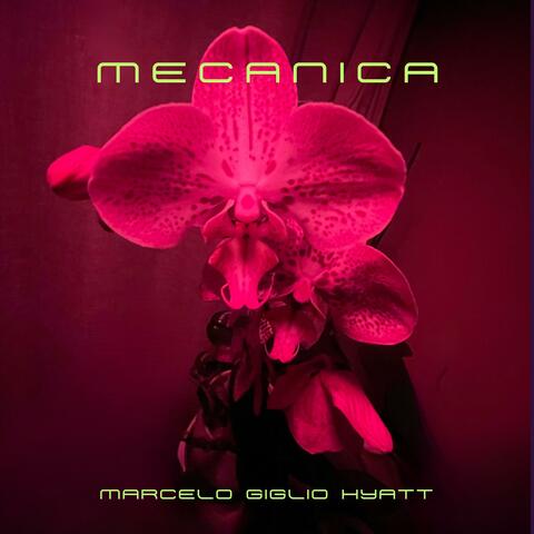 Mecanica
