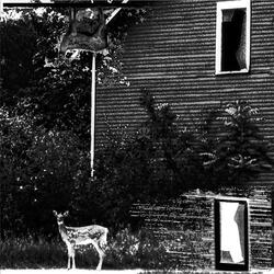 gods of death love apples