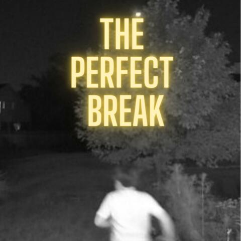 The Perfect Break