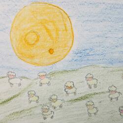 Counting sheep