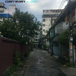 Comfy Wumfy