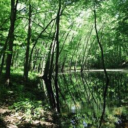 Goodbye (Just for Now)