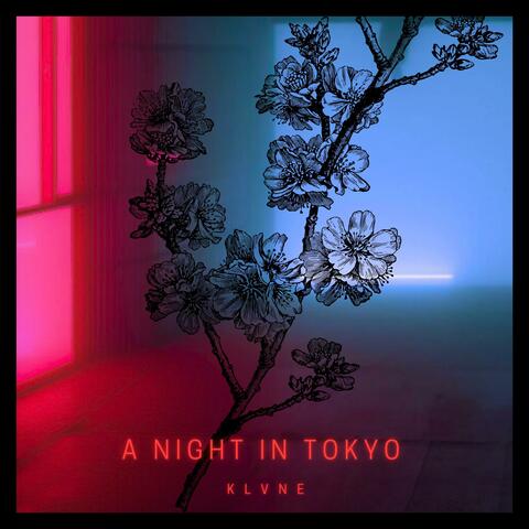 A Night in Tokyo