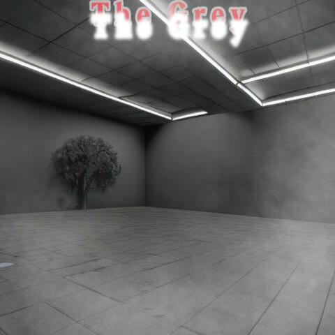 The Grey