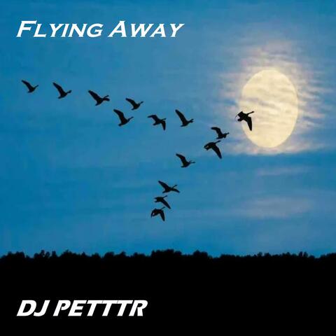 Flying Away