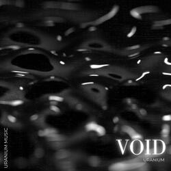Enter The Void