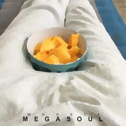 Megasoul