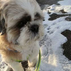 Spending too much money