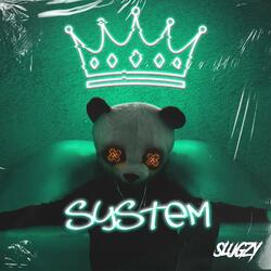 System