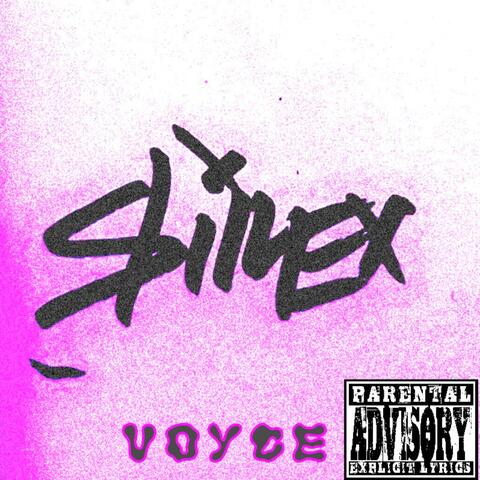 Slime The Album