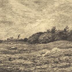 Morning In The Stable