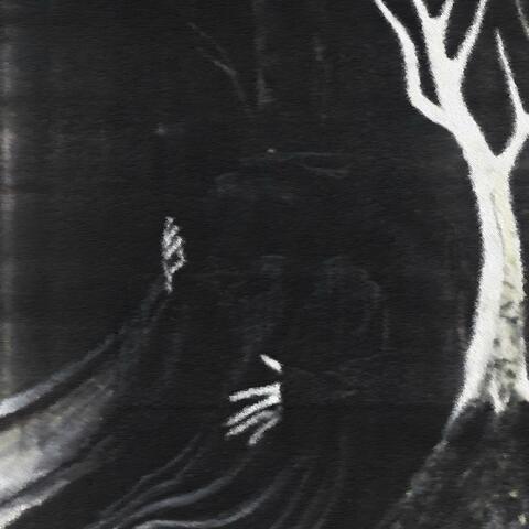 Black Mage of The Desolate Bog: II