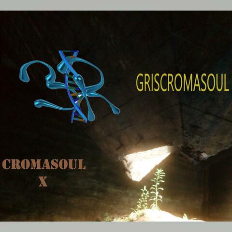 CROMASOUL X