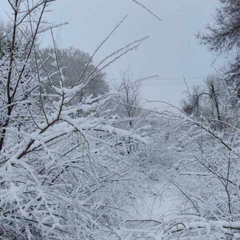 Lonely Snowy Days
